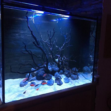Aquarium House Lejlighed Sesimbra Eksteriør billede