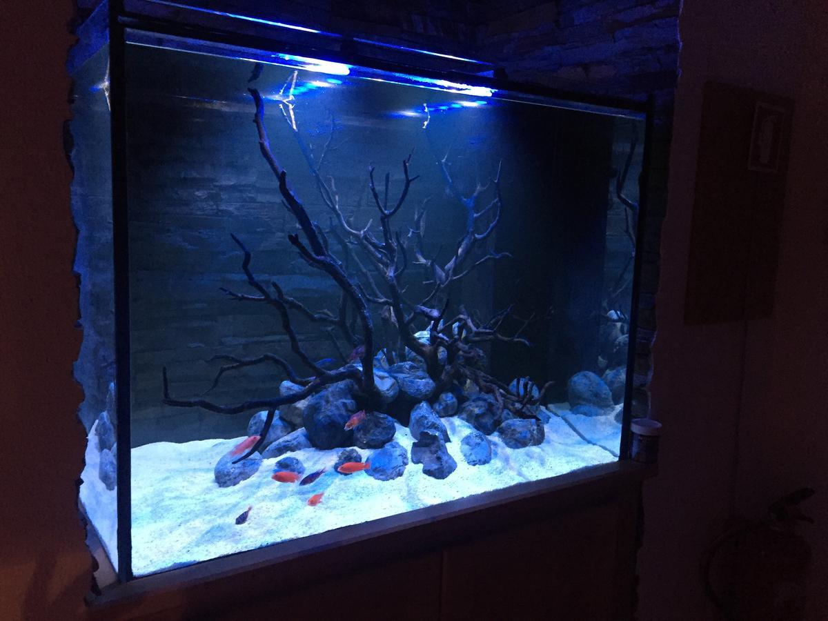 Aquarium House Lejlighed Sesimbra Eksteriør billede
